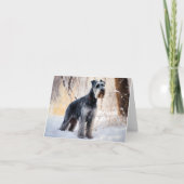 Carte Schnauzer Qu'il neige Noël (Devant)