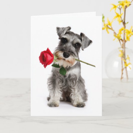 Carte Schnauzer Valentine – Amour Fidèle avec une Rose (Fleur jaune)