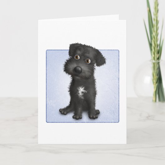 Carte Schnoodle (noir) (Devant)