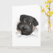 Carte Schnoodle (Noir) sortant (Fleur jaune)