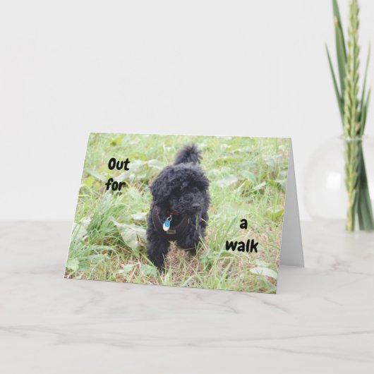 Carte SCHNOODLE PUP DIT HEUREUX 50e ANNIVERSAIRE (Devant)