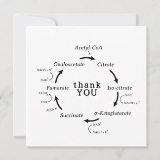 Carte Science Merci Professeur Kreb's Cycle Biology