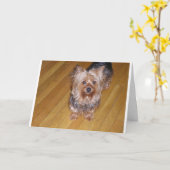 CARTE SCOOTA (Fleur jaune)