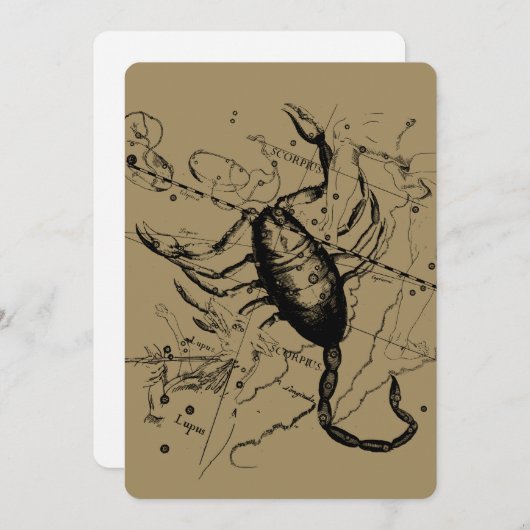 Carte Scorpio Constellation Hevelius 1690 Décor (Devant / Derrière)