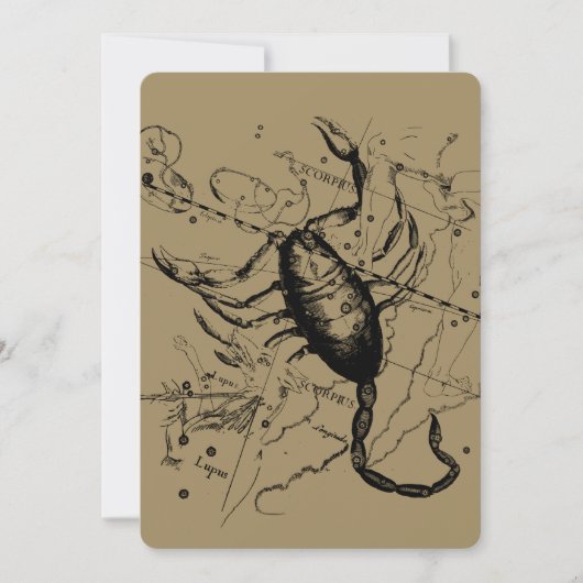 Carte Scorpio Constellation Hevelius 1690 Décor (Devant)