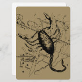 Carte Scorpio Constellation Hevelius 1690 Décor (Devant / Derrière)