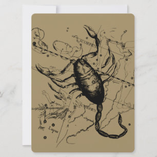 Carte Scorpio Constellation Hevelius 1690 Décor