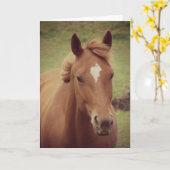 Carte Scotch A Horse, Anniversaire (Fleur jaune)