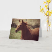 Carte Scotch in Motion toutes les occasions (Fleur jaune)