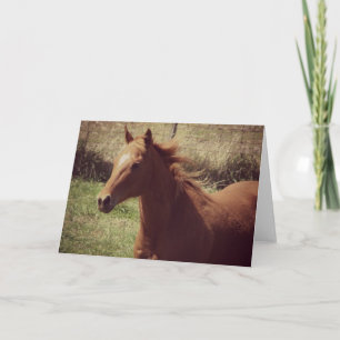 Carte Scotch in Motion toutes les occasions