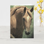 Carte Scotch Le Cheval, Anniversaire (Fleur jaune)