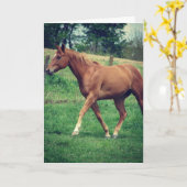 Carte Scotch the Horse, Anniversaire (Fleur jaune)