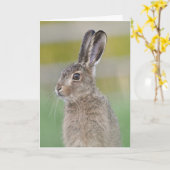 carte scotland lièvre Brown (Fleur jaune)