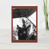 Carte Scottie (Devant)