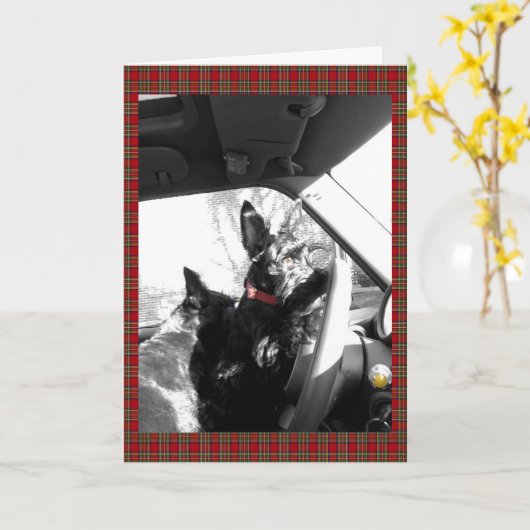 Carte Scottie (Fleur jaune)