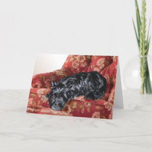 Carte Scottie dans un grand fauteuil rouge