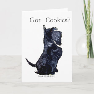 Carte Scottie - Des biscuits ?