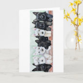 Carte Scottie Puppies (Fleur jaune)