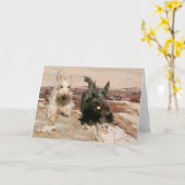 Carte Scotties roux et noirs en course (Fleur jaune)