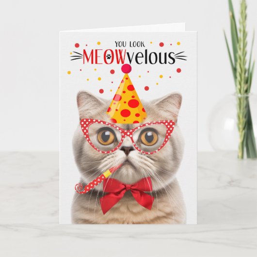 Carte Scottish Fold Cream Cat MEOWvelous Anniversaire (Devant)