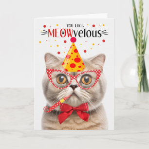Carte Scottish Fold Cream Cat MEOWvelous Anniversaire