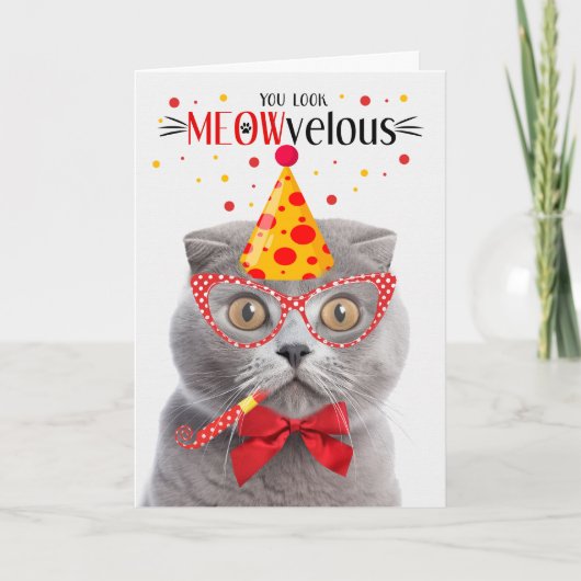 Carte Scottish Fold Grey Cat MEOWvelous Anniversaire (Devant)