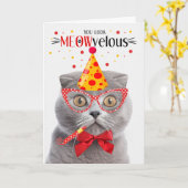 Carte Scottish Fold Grey Cat MEOWvelous Anniversaire (Fleur jaune)