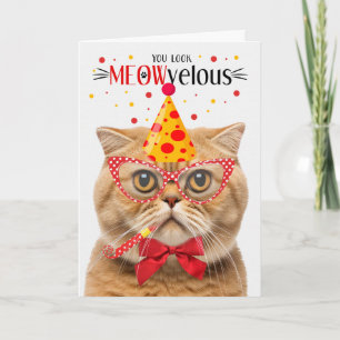 Carte Scottish Fold Orange Cat MEOWvelous Anniversaire