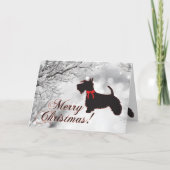 Carte Scottish Terrier Joyeux Noël (Devant)