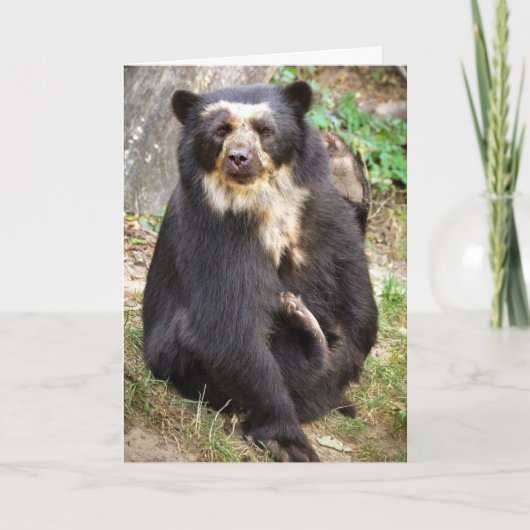 Carte Scratchs d'ours (Devant)