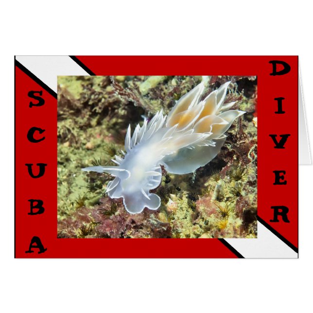 Carte Scuba Divier Nudibranche (Devant horizontal)