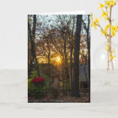 Carte Sdc Woods Sunset (Fleur jaune)