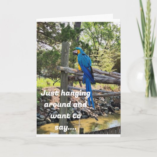 CARTE SE DÉBARRASSER ET VOULEZ DIRE HEUREUX ANNIVERSAIRE (Devant)