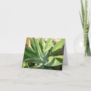 Carte Se prélasser du soleil