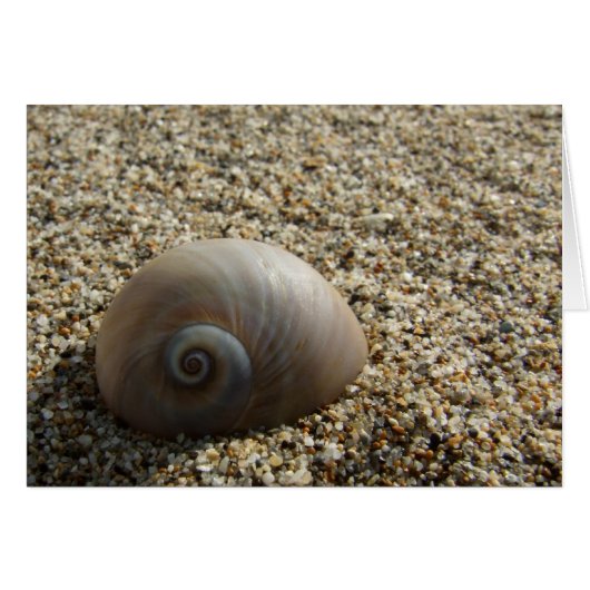 Carte Sea Shell (Devant horizontal)