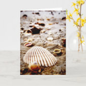 Carte Sea Shops sur Krabi Beach Card (Fleur jaune)