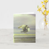Carte Seagull (Fleur jaune)