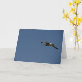 Carte Seagull (Fleur jaune)