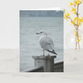 Carte Seagull (Fleur jaune)