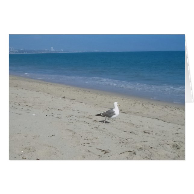 Carte Seagull (Devant Horizontal)