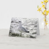 Carte SEAGULL (Fleur jaune)