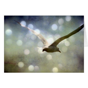 Carte Seagull All Occasions