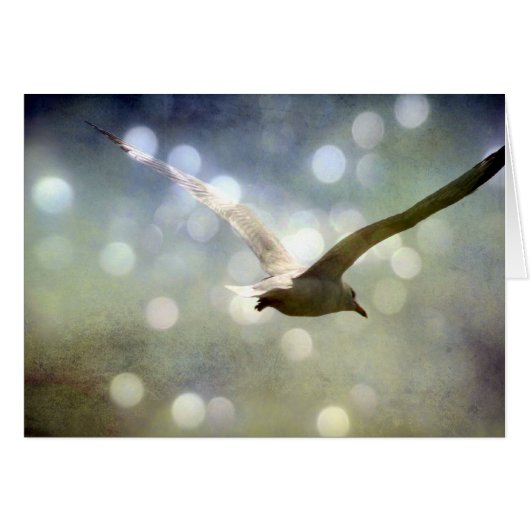 Carte Seagull All Occasions (Devant horizontal)