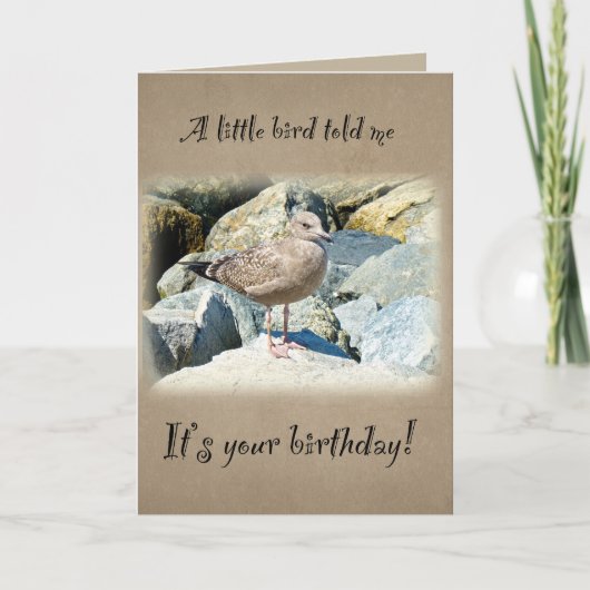 Carte Seagull anniversaire (Devant)