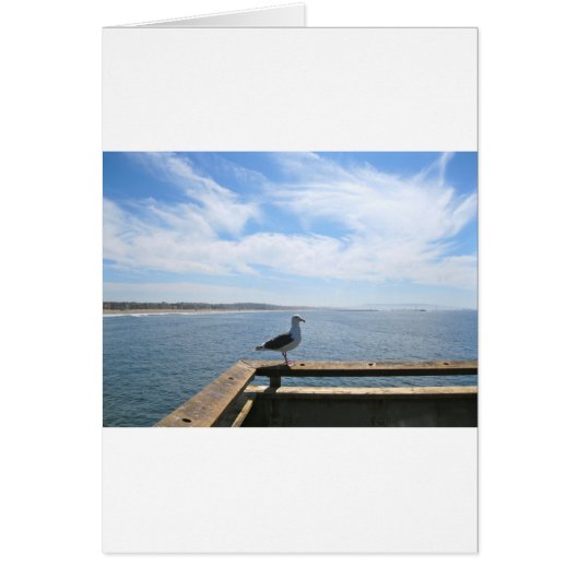 Carte Seagull pittoresque (Devant)