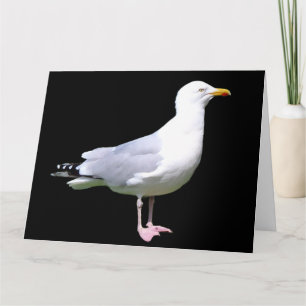 Carte Seagull Standing Ajouter du texte