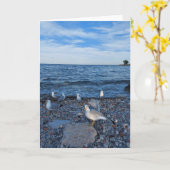 Carte Seagulls sur le lac Ontario (Fleur jaune)