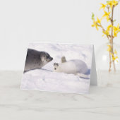 Carte seal buddies (Fleur jaune)