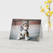 Carte Séance de beagle de bébé (Fleur jaune)