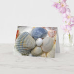 Carte Seashells Christian Friend Anniversaire<br><div class="desc">Coquillages bleus,  carte d'anniversaire chrétienne avec écritures de Proverbes :  "Un ami aime en tout temps".   Photographie de Seashell sur le devant et texte personnalisé à l'intérieur.  Parfait pour un anniversaire d'été saluant pour un meilleur ami.</div>